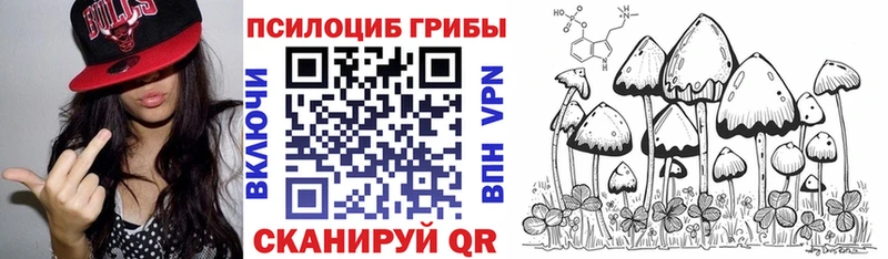 Псилоцибиновые грибы Psilocybine cubensis  Реж 